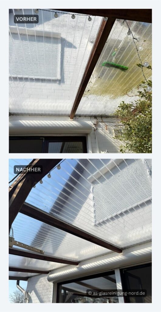 Reinigung von Terrassenüberdachung in Braak